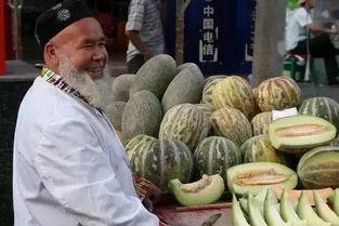 到新疆哈密吃瓜,瓜果飘香，尽享甜蜜之旅