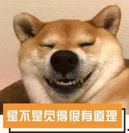 吃瓜象滴滴,滴滴背后的神秘力量