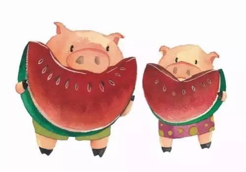 农场猪吃瓜,农场猪儿乐享瓜果盛宴
