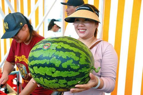 春节吃瓜乐,欢乐团圆中的趣味时光