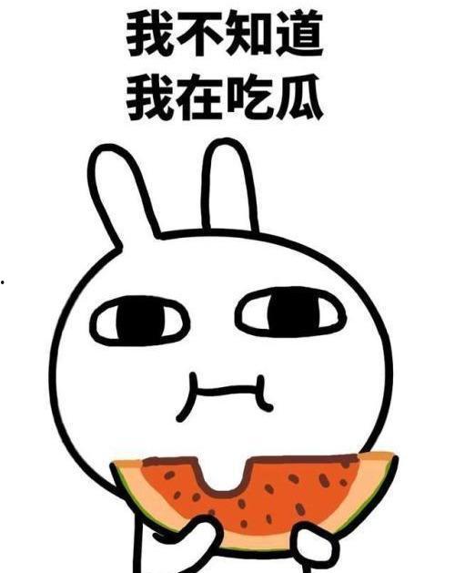 吃瓜聊天录音,一场趣味横生的幕后大揭秘