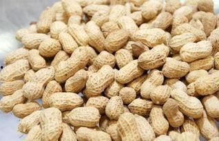 吃瓜花生上火吗,揭秘其是否会导致上火之谜