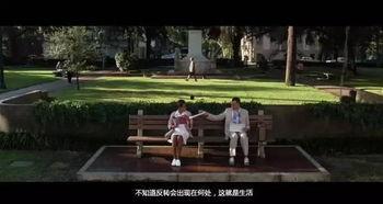 阿甘正传吃瓜,吃瓜群众见证的传奇人生