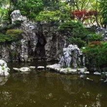 假山吃瓜视频,揭秘网红视频背后的趣味与争议