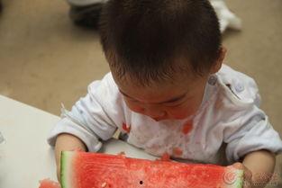 吃瓜的唐僧,揭秘取经路上的趣味轶事