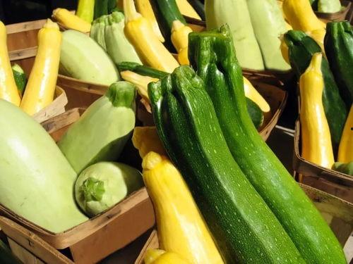 什么瓜都有的吃,尽享“什么瓜都有的吃”的无限美味