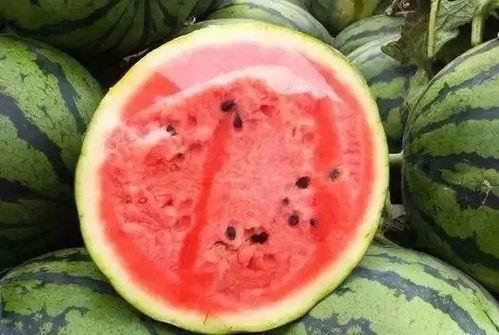 吃瓜掉进坑里,一场意外的“坑中奇遇”