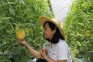 青州在线吃瓜,揭秘网络吃瓜群众的狂欢盛宴