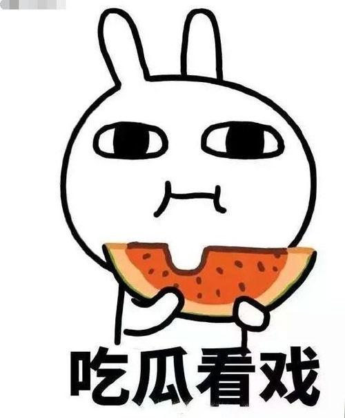 全家吃瓜推文,揭秘娱乐圈最新热点事件