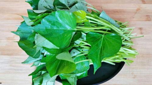 土瓜叶怎么吃,家常美味新体验
