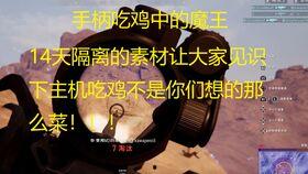 破绽呆瓜吃鸡,吃鸡战场上的智慧较量