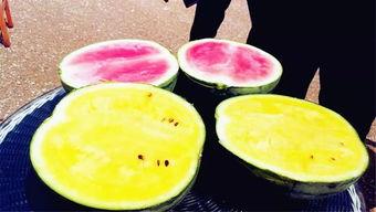 缅北吃瓜视频爆料,吃瓜视频揭露惊人内幕