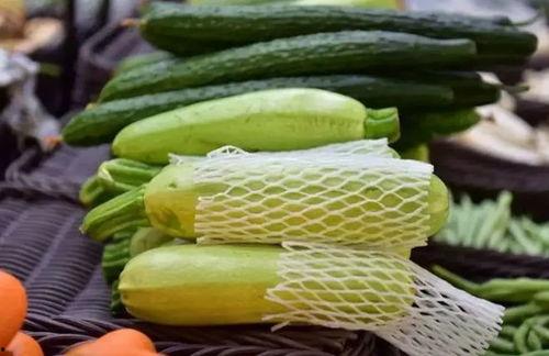 吃中药可以吃甜宝瓜吗,中药养生与甜宝瓜的搭配指南