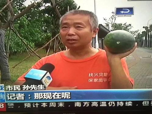 固安吃瓜群众事件,网络舆论下的社会现象解析